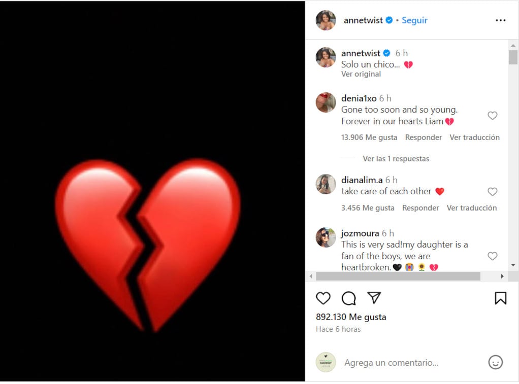 Así se despidió de Liam Payne la mamá de Harry Styles