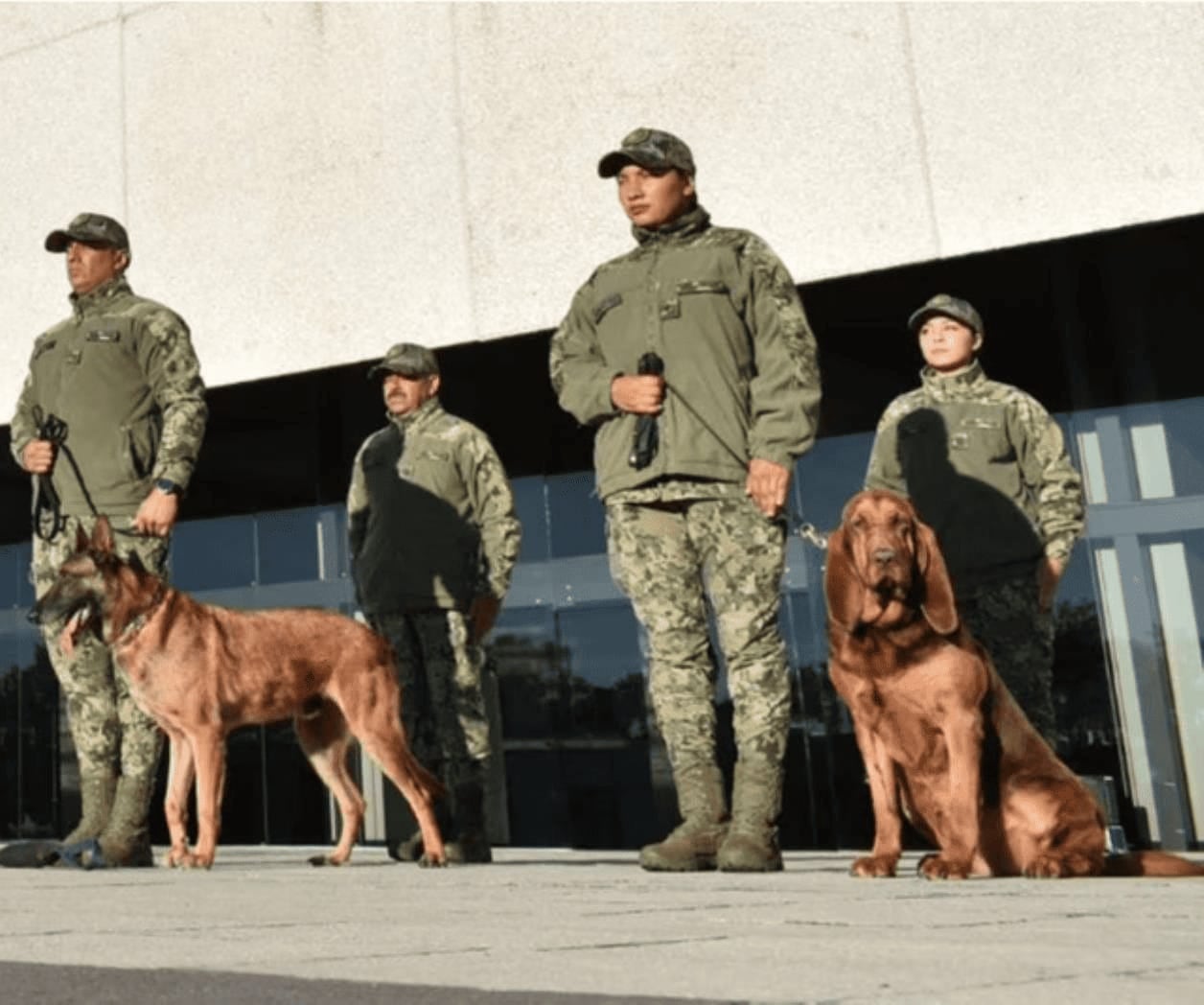 Ecko y Max se retiran tras varios años de servicio