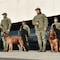 Estos dos valientes perritos de la Marina se jubilan tras años de servicio