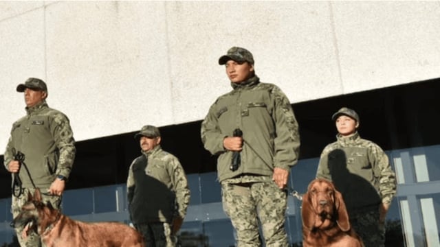 Ecko y Max se retiran tras varios años de servicio