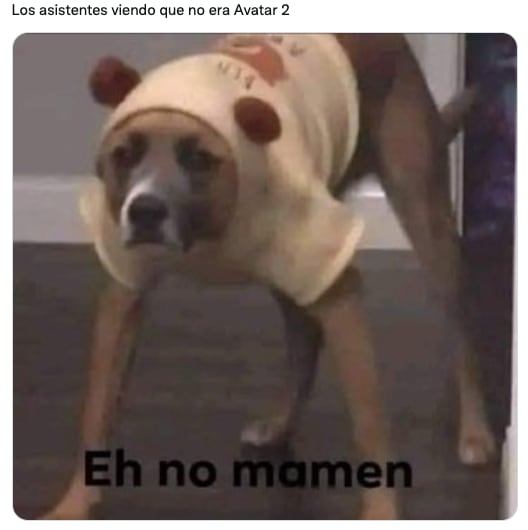 Usuarios fueron a ver reestreno de Avatar 1 pensado que era Avatar 2