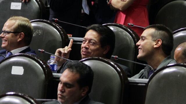 Niño Verde diputado