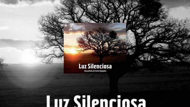 ¡Asiste al Parque Lincoln!