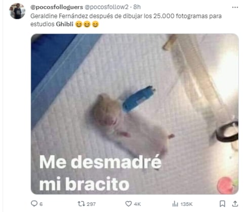 Memes de Geraldine Fernández, diseñadora que no trabajó para Studio Ghibli en El niño y la garza