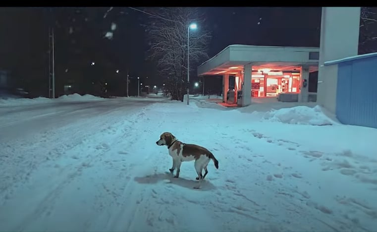 El ClúB, nuevo video musical de Bad Bunny