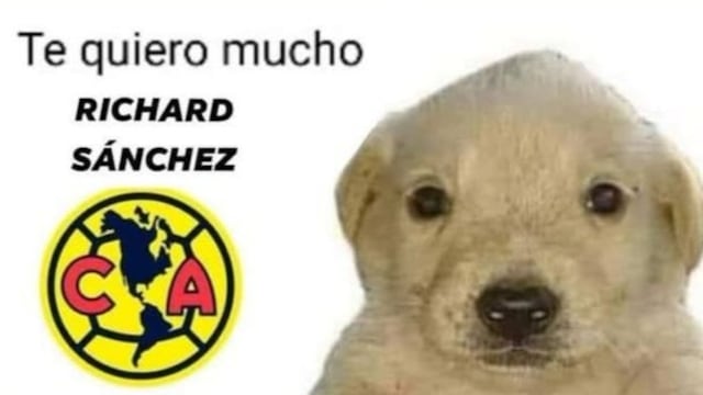 Memes Club América.