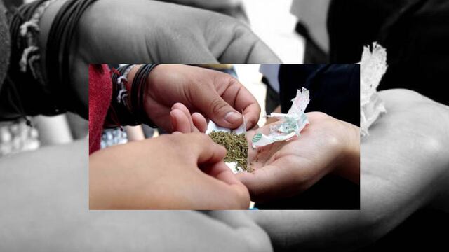 De concederse el amparo no lo autoriza para actos de comercio, suministro o distribución del estupefaciente.