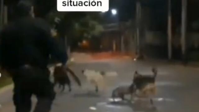 Policía ahuyenta a jauría de perros que molestaban a otro