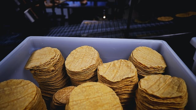 Profeco aclara: no puede multar la venta de tortillas en hieleras