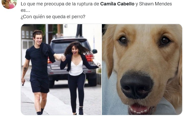 Memes sobre la ruptura de Camila Cabello y Shawn Mendes