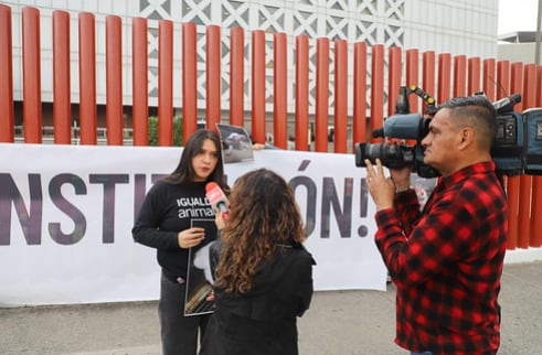 Se manifiestan a favor de los animales a la Constitución