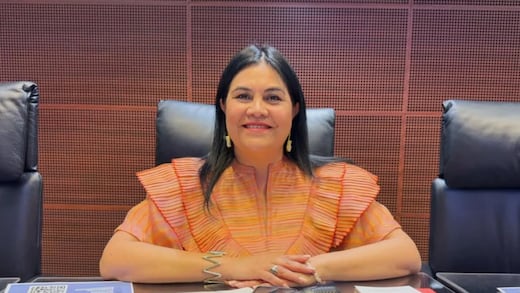 ¿Quién es Guadalupe Chavira de la Rosa? Senadora de Morena