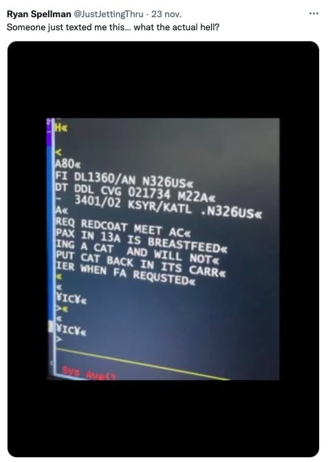 Mujer intenta amamantar a su gato durante un vuelo
