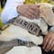 Muere Frida, la perrita rescatista de la Secretaría de Marina