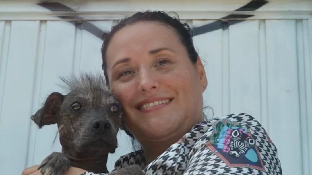 ¿Quién era María Dolores Patiño? Activista animalista fue levantada y asesinada en Culiacán