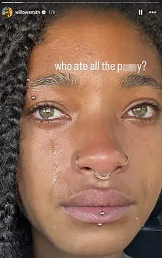 Willow Smith publica perturbadora foto