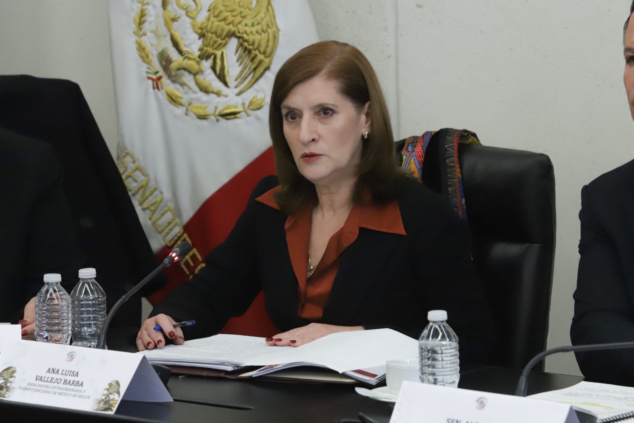 Ana Luisa Vallejo Barba, nueva embajadora de México en Belice