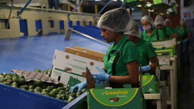 Empacadora de aguacate en Uruapan, Michoacán