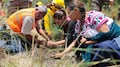 Los alcances de la Jornada Nacional de Reforestación