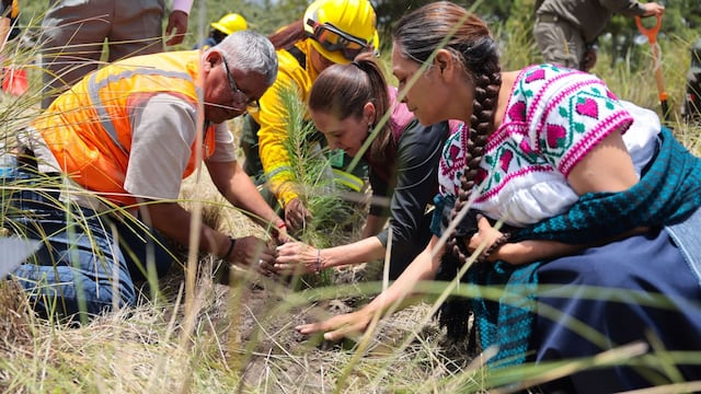 Claudia Sheinbaum Pardo, Presidenta de México, encabezó la Jornada Nacional de Reforestación, que se llevó a cabo en las inmediaciones del Volcán Popocatépetl.