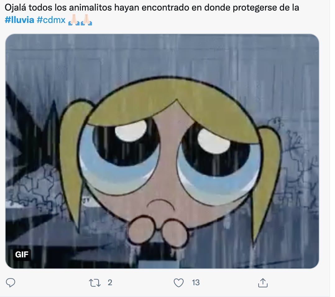 Meme