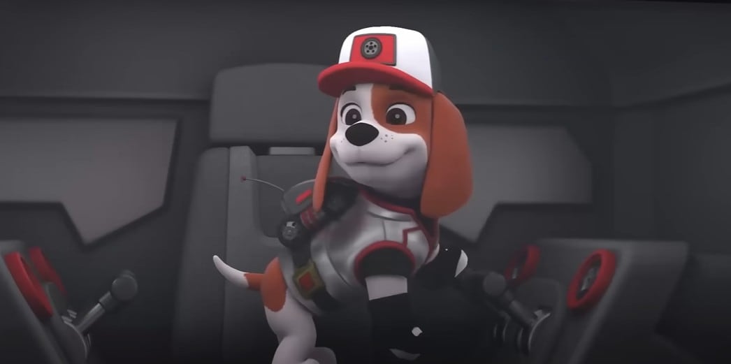 Nuevos miembros de Paw Patrol