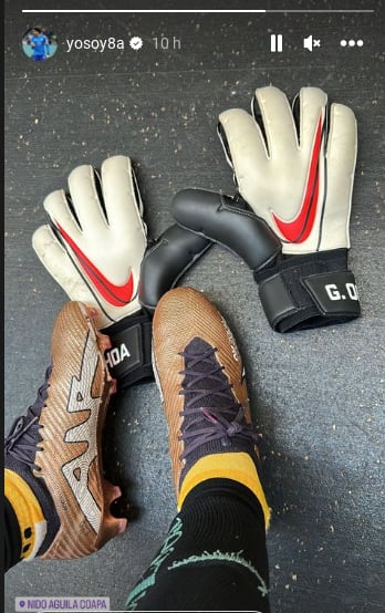 Guillermo Ochoa (Foto: Instagram)