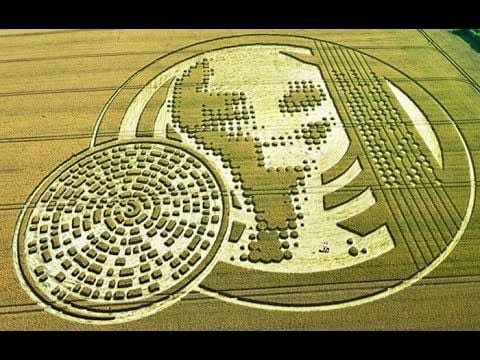 Círculos de cultivo