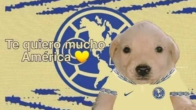 Meme del Club América