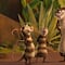 ‘La Era de Hielo: Las aventuras de Buck’ revela tráiler oficial y póster promocional