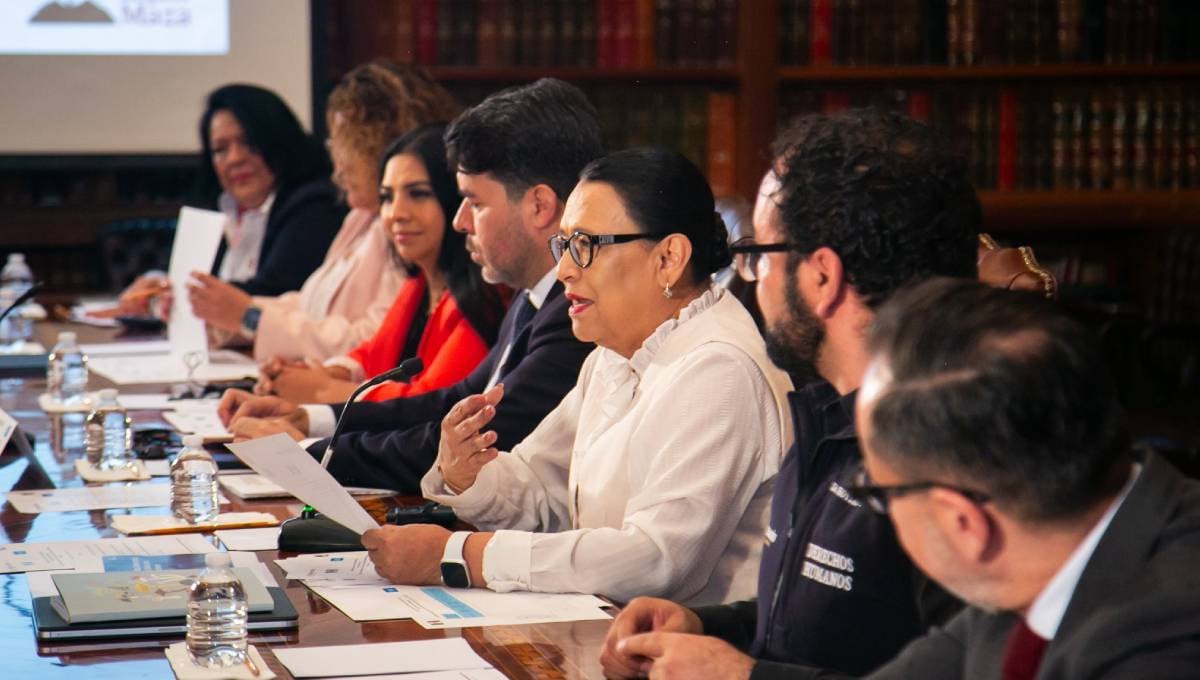 Rosa Icela Rodríguez en reunión con Volker Türk