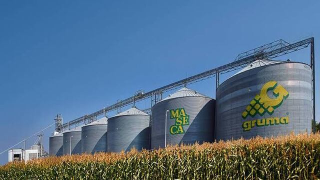 Grupo Maseca apoya la producción agrícola en Baja California por medio de programas