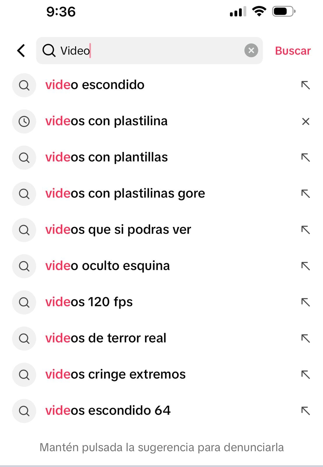videos gore con plastilina: búsquedas en TikTok