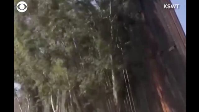 Los tramos de muro acabaron recostados sobre una pila de árboles en Mexicali.