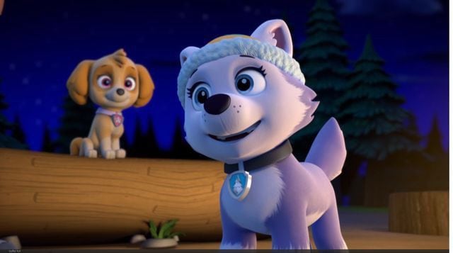 Fondos de pantalla de Skye y Everest de Paw Patrol para computadora