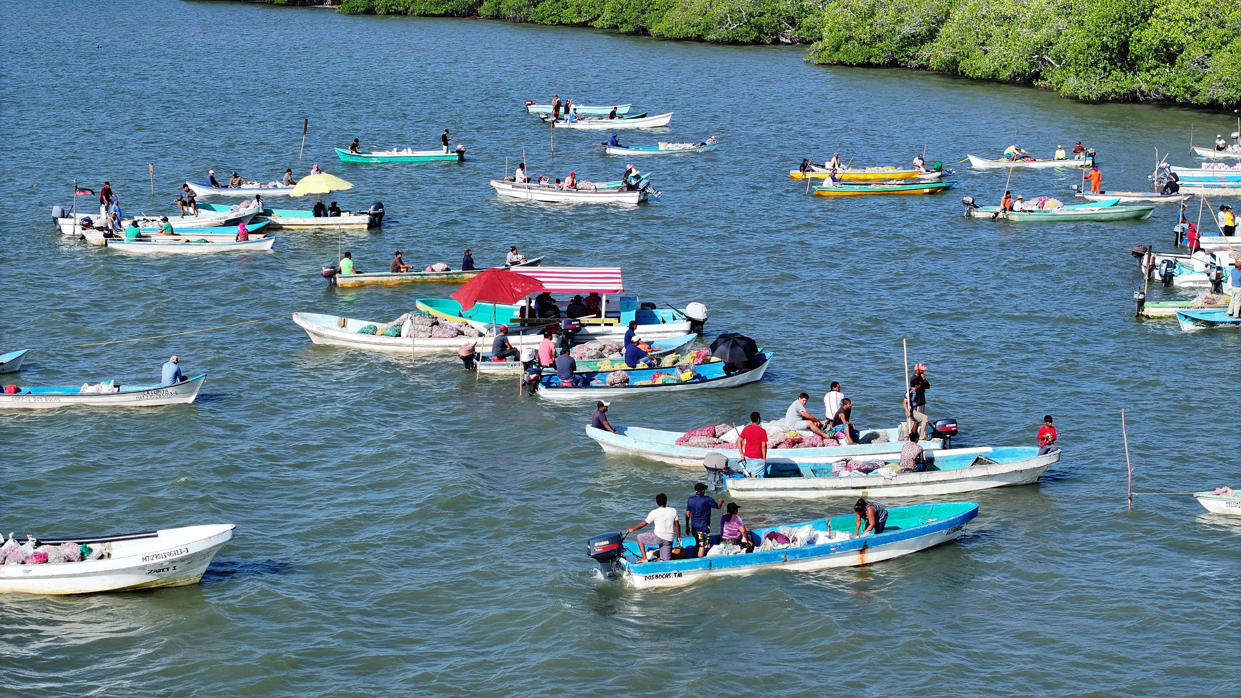 Javier May Rodríguez supervisó acciones de Pescando Vida y la repoblación de la laguna Mecoacán.