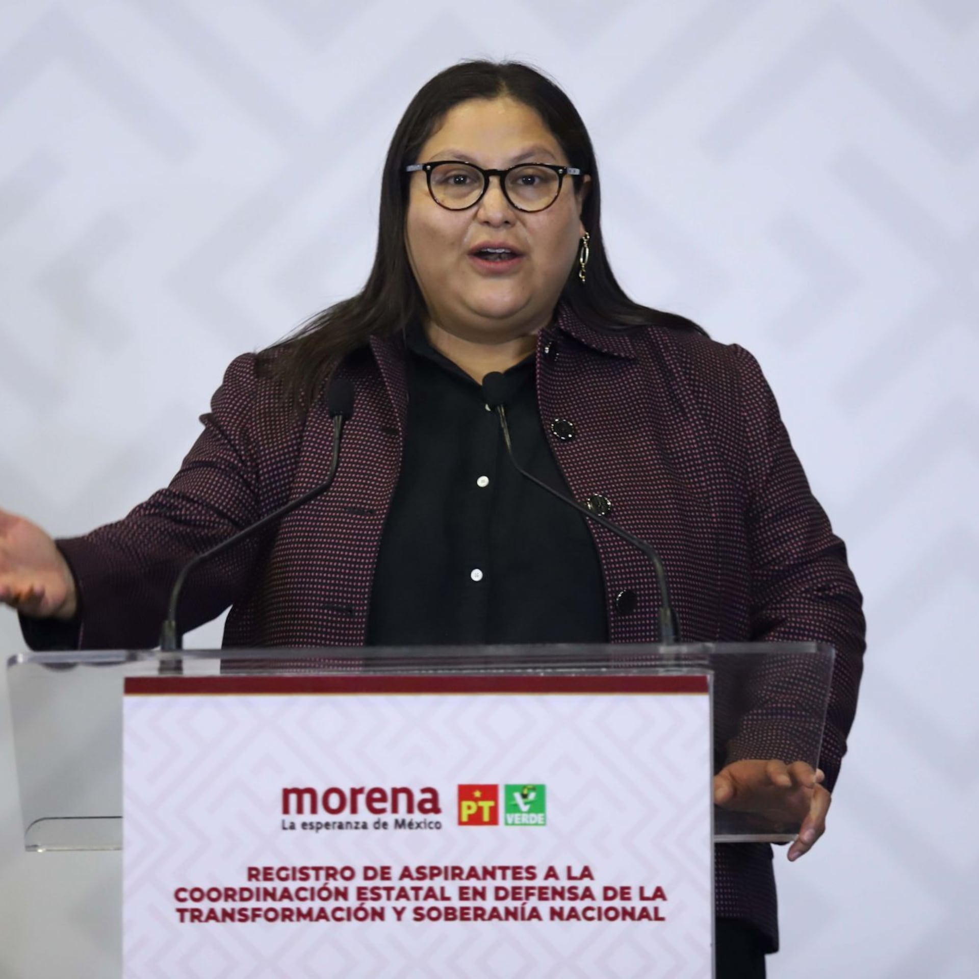 Citlalli Hernández asegura que el antinepotismo no divide a Morena