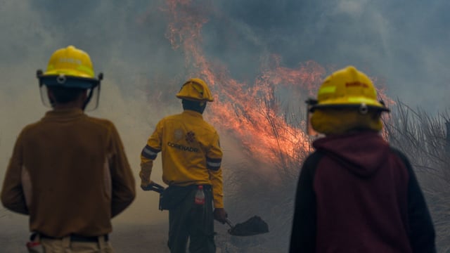 42 incendios forestales en la entidad mexiquense han afectado a 441.12 hectáreas, en los municipios de Acambay, Valle de Bravo, Atlacomulco, Ocuilan y Zinacantepec