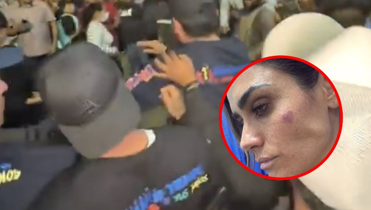 Agresión contra Alessandra Rojo de la Vega