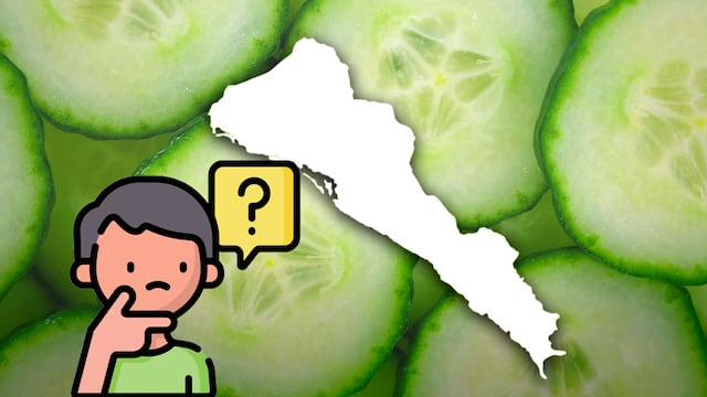 ¿Por qué los pepinos están saliendo amargos en Sinaloa? Las causas