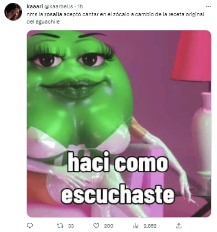 Memes concierto Rosalía en la Zócalo de la CDMX
