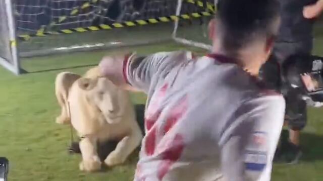 León espanta a jugador