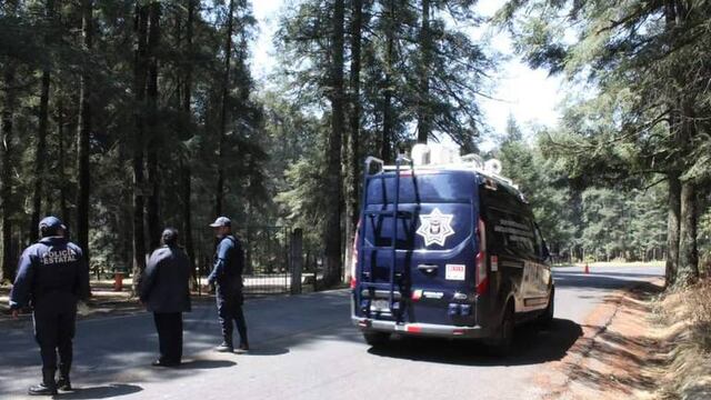 Bosque del Hiloche en Hidalgo