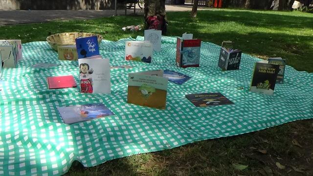 Picnic Literario