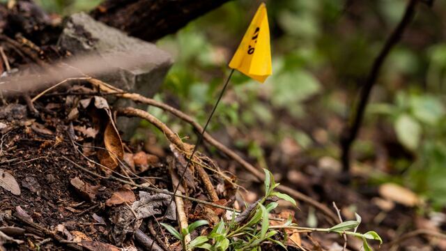 Hallan cuerpo en el Ajusco; esto se sabe.