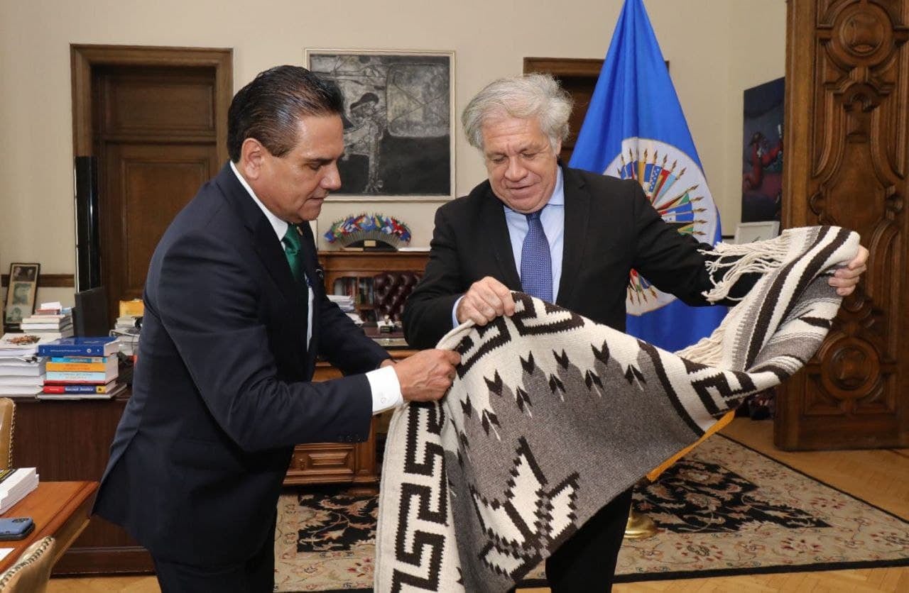 Silvano Aureoles en la OEA