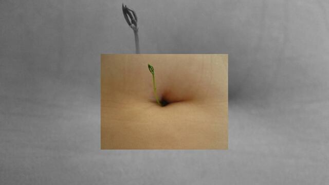 Aprende a cuidar y limpiar tu ombligo.