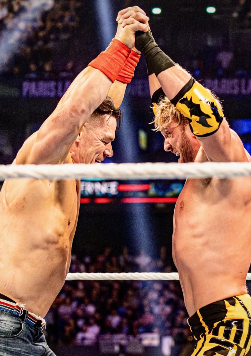 Logan Paul, youtuber y luchador