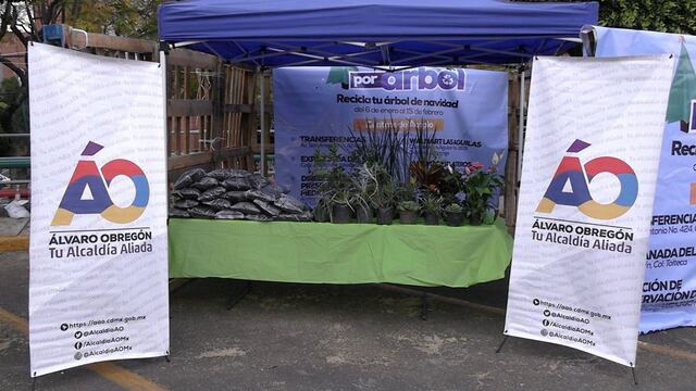 Campaña ‘Árbol por árbol 2024’ en Álvaro Obregón