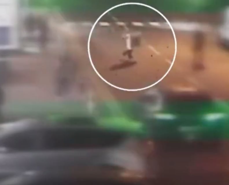 Hombre roba televisor sin que se den cuenta